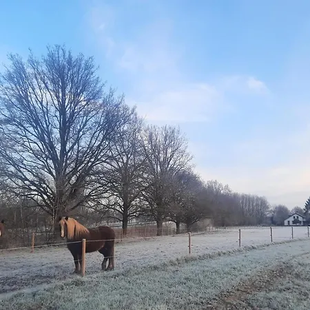 Bed & Breakfast De Vense Weide