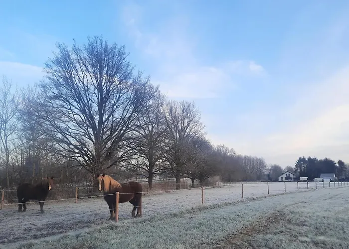 Gæstehus De Vense Weide